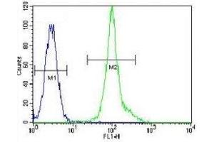 LCK antibody flow cytometric analysis of HeLa cells (green) compared to a negative control (blue). (LCK 抗体  (AA 480-509))
