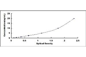 Typical standard curve (ALOX12 ELISA 试剂盒)