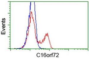 HEK293T cells transfected with either RC214935 overexpress plasmid (Red) or empty vector control plasmid (Blue) were immunostained by anti-C16orf72 antibody (ABIN2452857), and then analyzed by flow cytometry. (C16orf72 抗体)
