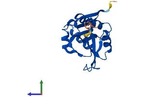 Protein Structure (PS) image for N(alpha)-Acetyltransferase 50, NatE Catalytic Subunit (NAA50) (AA 1-169) protein (His tag) (ABIN7558074)