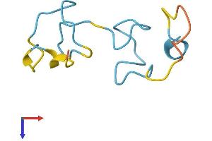 MT3 Protein (AA 1-68) (Fc Tag)