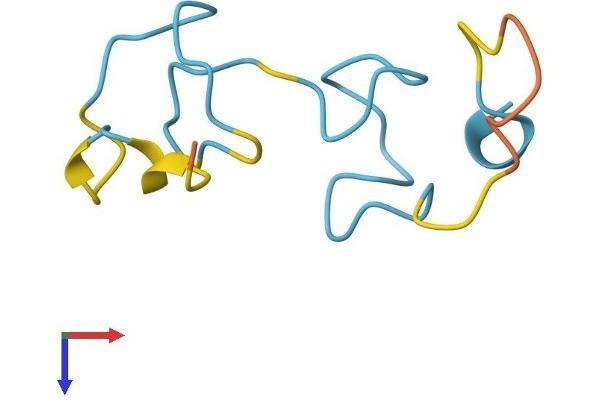MT3 Protein (AA 1-68) (Fc Tag)