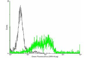 Flow Cytometry (FACS) image for anti-Major Histocompatibility Complex, Class I, A (HLA-A) (AA 1-365) antibody (ABIN516462)