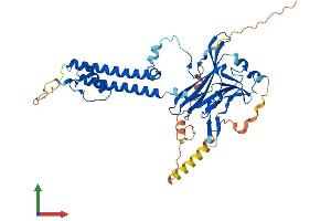 Protein Structure (PS) image for Potassium Inwardly-Rectifying Channel, Subfamily J, Member 4 (KCNJ4) (AA 1-445) protein (His tag) (ABIN7563414)