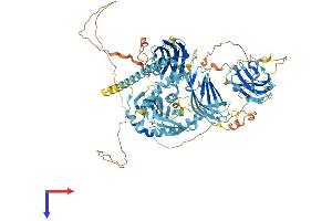 ESYT3 Protein (AA 1-891) (His tag)