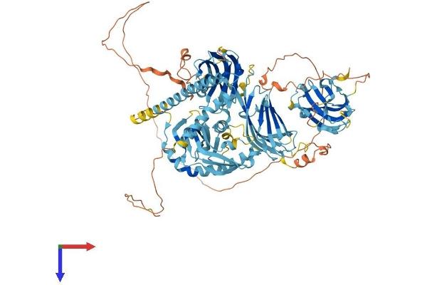 ESYT3 Protein (AA 1-891) (His tag)