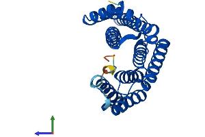 Protein Structure (PS) image for 14-3-3 epsilon (YWHAE) (AA 1-255) protein (His tag) (ABIN7551862)