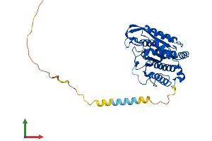 Protein Structure (PS) image for Glutaminyl-Peptide Cyclotransferase-Like (QPCTL) (AA 1-382) protein (His tag) (ABIN7551134)