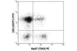Flow Cytometry (FACS) image for anti-Fibroblast Growth Factor Binding Protein 2 (FGFBP2) antibody (PE) (ABIN2663817) (FGFBP2 抗体  (PE))