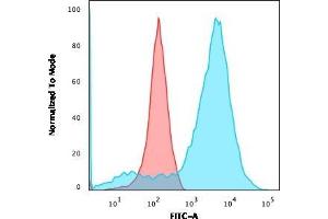 Flow Cytometric Analysis of HEK293 cells using Neurofilament Mouse Monoclonal Antibody (NR-4) followed by goat anti-Mouse IgG-CF488 (Blue); Isotype control (Red). (NEFL 抗体)