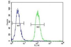 MITF antibody flow cytometric analysis of K562 cells (right histogram) compared to a negative control (left histogram) (MITF 抗体  (AA 1-28))