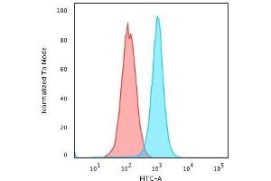 Flow Cytometric Analysis of K562 cells using Moesin Mouse Monoclonal Antibody (MSN/491) followed by Goat anti-Mouse IgG-CF488 (Blue); Isotype Control (Red). (Moesin 抗体)