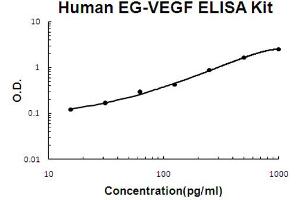 Human EG-VEGF Accusignal ELISA Kit Human EG-VEGF AccuSignal ELISA Kit standard curve. (Prokineticin 1 ELISA 试剂盒)