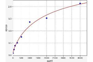 ELISA image for Tumor Necrosis Factor Receptor Superfamily, Member 11b (TNFRSF11B) ELISA Kit (ABIN6970975)