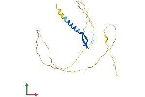 Protein Structure (PS) image for B-Cell CLL/lymphoma 7A (BCL7A) (AA 1-210) protein (His tag) (ABIN7552698)