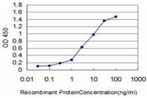 Detection limit for recombinant GST tagged KIAA2002 is approximately 0. (PEAK1 抗体  (AA 1151-1250))