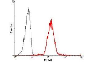 FACS staining of human Lymphocyte(CD4+) using anti-Jagged-1 (human), mAb (J1G53-3) (FITC) . (JAG1 抗体  (FITC))
