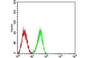 Flow cytometric analysis of HL-60 cells using CD353 mouse mAb (green) and negative control (red). (SLAMF8 抗体  (AA 23-233))