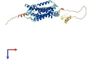 GPR151 Protein (AA 1-422) (His tag)