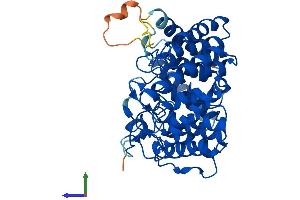 AlphaFold protein structure predicition of Mouse Recombinant Lancl3 Protein, UniprotID Q8CD19