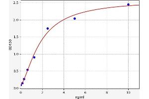 Typical standard curve (RIPK1 ELISA 试剂盒)