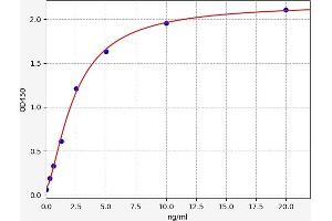 Typical standard curve (Contactin 4 ELISA 试剂盒)