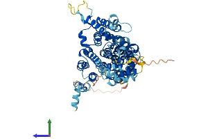 AlphaFold protein structure predicition of Mouse Recombinant Slc13a2 Protein, UniprotID Q9ES88
