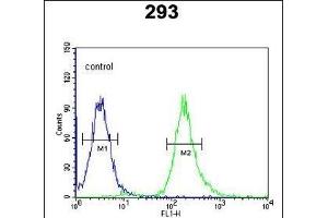 STX1A Antibody (N-term) (ABIN653770 and ABIN2843062) flow cytometric analysis of 293 cells (right histogram) compared to a negative control cell (left histogram). (STX1A 抗体  (N-Term))