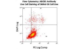 Flow Cytometry (FACS) image for anti-ATP-Binding Cassette, Sub-Family B (MDR/TAP), Member 5 (ABCB5) antibody (ABIN3002513) (ABCB5 抗体)