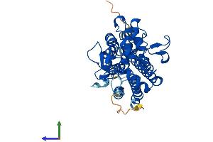 AlphaFold protein structure predicition of Mouse Recombinant Ido1 Protein, UniprotID P28776