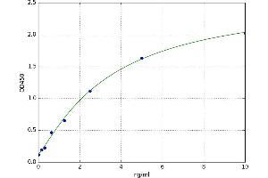 Angiopoietin 4 (ANGPT4) ELISA Kit