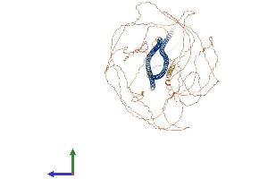Protein Structure (PS) image for Neurofilament, Heavy Polypeptide (NEFH) (AA 1-1090) protein (His tag) (ABIN7562937)
