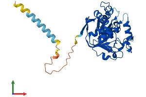 AlphaFold protein structure predicition of Human Recombinant ST6GALNAC3 Protein, UniprotID Q8NDV1