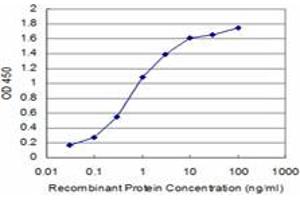 Detection limit for recombinant GST tagged CLDN2 is approximately 0. (Claudin 2 抗体  (AA 29-80))