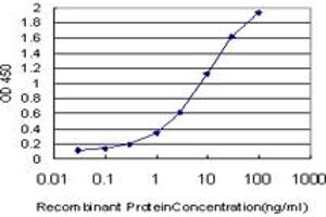 Detection limit for recombinant GST tagged TCF19 is approximately 0. (TCF19 抗体  (AA 17-102))