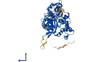 Protein Structure (PS) image for Polymerase (DNA Directed), mu (POLM) (AA 1-496) protein (His tag) (ABIN7561557)