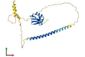 Protein Structure (PS) image for RALY RNA Binding Protein-Like (RALYL) (AA 1-291) protein (His tag) (ABIN7551266)