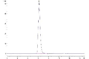 Size-exclusion chromatography-High Pressure Liquid Chromatography (SEC-HPLC) image for Inducible T-Cell Co-Stimulator Ligand (ICOSLG) (AA 19-258) protein (Fc Tag) (ABIN7273958)