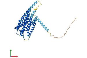 Protein Structure (PS) image for G Protein-Coupled Receptor 119 (GPR119) (AA 1-335) protein (His tag) (ABIN7558280)