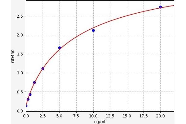 CDH6 ELISA 试剂盒