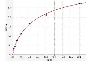 Typical standard curve (CDH6 ELISA 试剂盒)