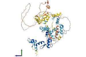Protein Structure (PS) image for Zinc Finger Protein 214 (ZNF214) (AA 1-606) protein (His tag) (ABIN7545790)