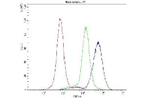 Flow Cytometry analysis of K562 cells using anti-RAB27A antibody (ABIN5692927).