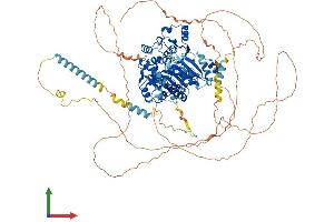 Protein Structure (PS) image for DEAD (Asp-Glu-Ala-Asp) Box Polypeptide 42 (DDX42) (AA 1-938) protein (His tag) (ABIN7553633)
