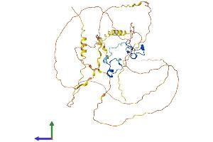 Protein Structure (PS) image for Zinc Finger Protein 36, C3H Type-Like 2 (ZFP36L2) (AA 1-484) protein (His tag) (ABIN7562992)