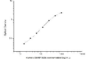 Typical standard curve (SERPINA4 ELISA 试剂盒)