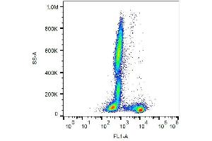 Surface staining of human peripheral blood cells with anti-human CD27 (LT27) FITC. (CD27 抗体  (FITC))