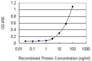 Detection limit for recombinant GST tagged ITGAM is 1 ng/ml as a capture antibody. (CD11b 抗体  (AA 111-220))