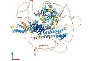 Protein Structure (PS) image for Excision Repair Cross-Complementing Rodent Repair Deficiency, Complementation Group 6-Like (ERCC6L) (AA 1-1250) protein (His tag) (ABIN7553816)