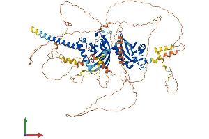 Protein Structure (PS) image for Endothelial PAS Domain Protein 1 (EPAS1) (AA 1-870) protein (His tag) (ABIN7553803)